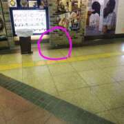 ヒメ日記 2026/02/17 18:21 投稿 鮎川 雫 横浜貴楼館