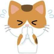 ヒメ日記 2025/11/27 15:44 投稿 まゆ CECIL