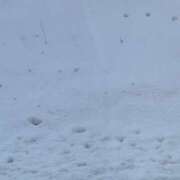 ヒメ日記 2026/02/09 16:57 投稿 せり ハピネス東京