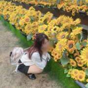 ヒメ日記 2025/11/19 17:30 投稿 あきな Gossip girl