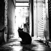 ヒメ日記 2025/12/08 21:44 投稿 おりか 桃李（とうり）