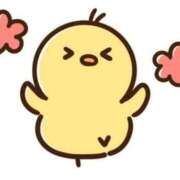 ヒメ日記 2025/12/14 17:44 投稿 おりか 桃李（とうり）