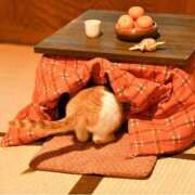 おりか 早1ヶ月… 桃李（とうり）