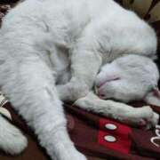 ヒメ日記 2026/01/26 16:27 投稿 高瀬みなみ イエスグループ熊本 華女