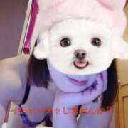 ヒメ日記 2026/01/30 12:07 投稿 高瀬みなみ イエスグループ熊本 華女