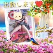 ヒメ日記 2026/03/24 10:16 投稿 高瀬みなみ イエスグループ熊本 華女