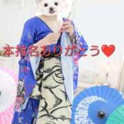 ヒメ日記 2026/08/22 22:12 投稿 高瀬みなみ イエスグループ熊本 華女