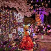 ヒメ日記 2026/03/21 22:09 投稿 なち ピンクコレクション大阪キタ店