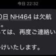 なぎ やばい！！！！！ アネックスジャパン