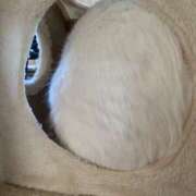 ヒメ日記 2026/01/31 22:29 投稿 なぎ 海物語