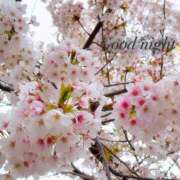 ヒメ日記 2026/04/18 23:14 投稿 有理紗 HERMINE-エルミネ-