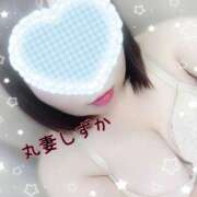 ヒメ日記 2025/11/26 10:31 投稿 しずか 丸妻 池袋店