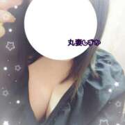 ヒメ日記 2026/01/27 08:33 投稿 しずか 丸妻 池袋店