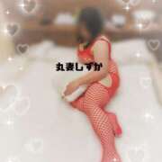 ヒメ日記 2026/02/13 10:44 投稿 しずか 丸妻 池袋店