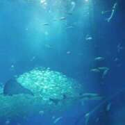 ヒメ日記 2026/02/28 15:27 投稿 しずか 丸妻 池袋店