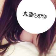 ヒメ日記 2026/04/09 12:06 投稿 しずか 丸妻 池袋店