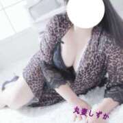 ヒメ日記 2026/05/15 09:01 投稿 しずか 丸妻 池袋店