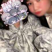 ヒメ日記 2026/09/13 09:17 投稿 アザミ 飾窓