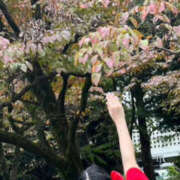 ヒメ日記 2026/10/09 16:23 投稿 アザミ 飾窓