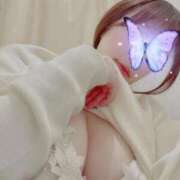 ヒメ日記 2025/11/20 12:17 投稿 【新人イベント】ゆう ごほうびSPA千葉店