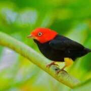 ヒメ日記 2026/02/12 10:48 投稿 藤沢　たかこ 未熟な人妻