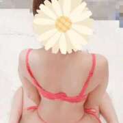 ヒメ日記 2026/03/30 09:48 投稿 藤沢　たかこ 未熟な人妻