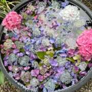 ヒメ日記 2025/12/02 07:46 投稿 りな 熟女総本店 日本橋ミナミエリア店