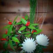 ヒメ日記 2026/01/01 13:30 投稿 藤野れん 五十路マダム 岐阜店