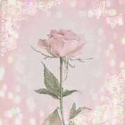 しろ40分8400円 𝗦𝗵𝗶𝗿𝗼 回春性感メンズエステ猫の手 大垣／羽島