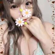 ヒメ日記 2026/03/01 08:33 投稿 しろ40分8400円 回春性感メンズエステ猫の手 尾張一宮