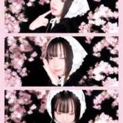 ヒメ日記 2026/03/24 09:09 投稿 おとは 新宿プチドール