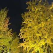 ヒメ日記 2025/12/11 12:29 投稿 あおば 鶯谷スピン