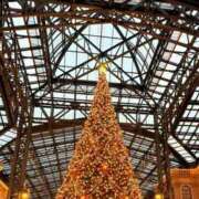 ヒメ日記 2025/12/05 15:12 投稿 武内 鶯谷デッドボール