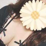 ヒメ日記 2025/12/18 10:09 投稿 武内 鶯谷デッドボール