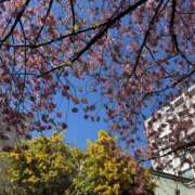 ヒメ日記 2026/03/08 21:57 投稿 武内 鶯谷デッドボール