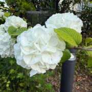 ヒメ日記 2026/04/21 16:39 投稿 武内 鶯谷デッドボール