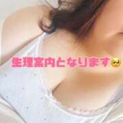ヒメ日記 2026/05/15 15:59 投稿 武内 鶯谷デッドボール