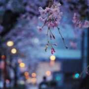 ヒメ日記 2026/02/28 10:52 投稿 五十嵐たまき 熟女パラダイス鶯谷店(カサブランカグループ)