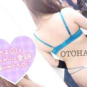 ヒメ日記 2025/11/24 16:29 投稿 音羽-おとは【FG系列】 ほんつま千葉店（FG系列）