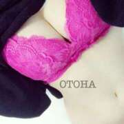 音羽-おとは【FG系列】 押し忘れには注意??笑 ほんつま千葉店（FG系列）