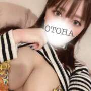 音羽-おとは【FG系列】 ラスト2日≡ \(　" )/? ほんつま千葉店（FG系列）