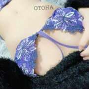 音羽-おとは【FG系列】 昨日は??? ほんつま千葉店（FG系列）