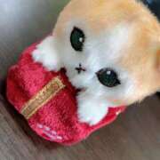 ヒメ日記 2025/12/11 10:41 投稿 まい スピードエコ京橋店