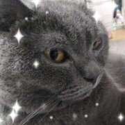 ヒメ日記 2025/12/18 09:08 投稿 いと 熟女総本店