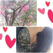 いと 出勤しましたぁ🩷 熟女総本店