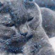 ヒメ日記 2026/03/20 14:44 投稿 いと 熟女総本店