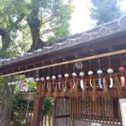 ヒメ日記 2026/08/14 12:18 投稿 いと 熟女総本店