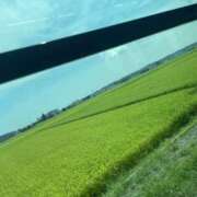 ヒメ日記 2025/12/07 14:48 投稿 みお 排泄マニア