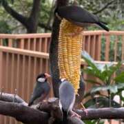 ♪あん♪ すみません🙇 水色りぼん