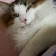 ヒメ日記 2025/12/07 21:23 投稿 ♪あん♪ 水色りぼん